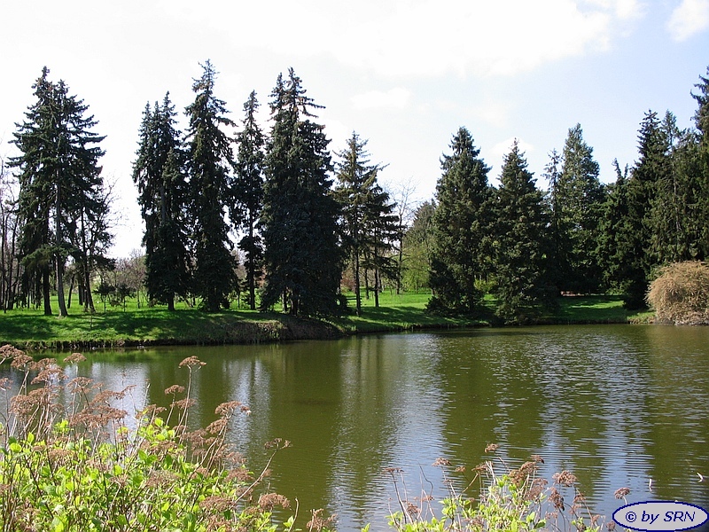 Der Botanische Garten in Berlin - © by SRN