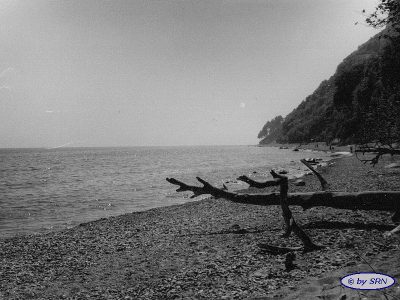 Die Steilküste auf Rügen - © by SRN